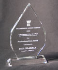 Image of a optical crystal award