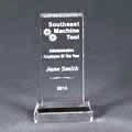 This is a image of a handsome optical award