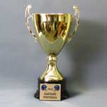 This is a image of a gold color metal cup  set on a round synthetic black base