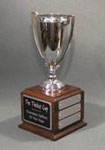 This is a image of a silver tone loving cup on a FB cube base with perpetual plates around the base