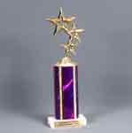 This is a image of a cascading star trophy